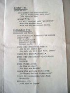 Hitler Youth Document