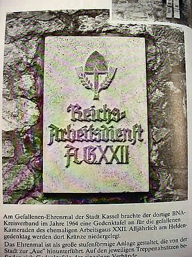 Labor and Worker Front