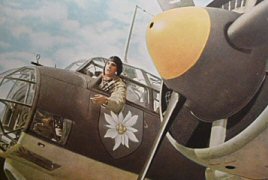Luftwaffe
