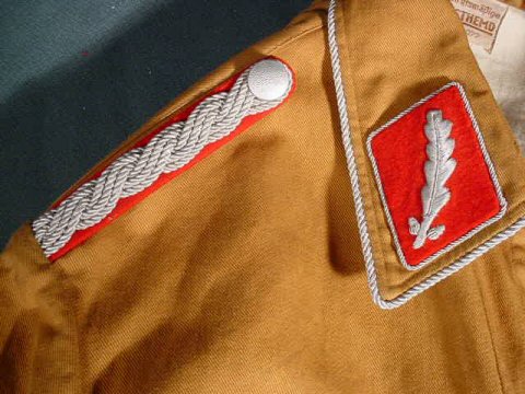 Sturmabteilungen the SA, Storm Troopers