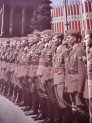 Luftwaffe