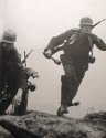 Wehrmacht