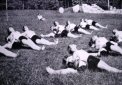 WW I