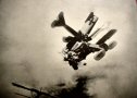 Luftwaffe