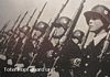 Nazi Party