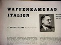 Nazi