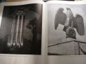 Third Reich Art