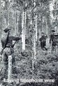 Wehrmacht