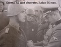 Waffen-SS