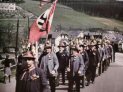 Nazi Party