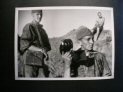Waffen-SS