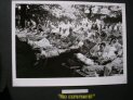 Waffen-SS