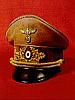 Nazi Party