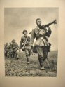 Wehrmacht