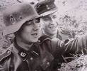 Helmets
