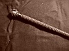 Kaiser Reich