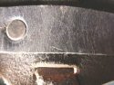 SS