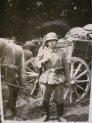 Wehrmacht