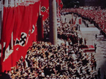 Large Nazi Party Flag