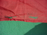 NS State Flag