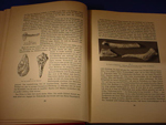 Hitler's Der Erbe Unserer Ahnen