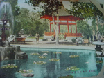 Japanese Postcard Album