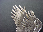 Silver Eagle Medal