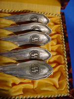 Cased SS Spoon Set