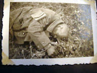 Picture Album