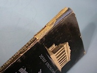 Book Ahnenerbe