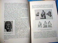 Book Ahnenerbe