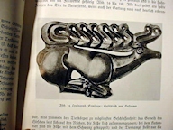 Book Ahnenerbe
