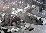 Wehrmacht