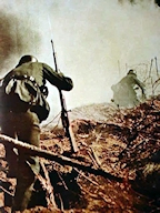 Wehrmacht