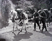 Wehrmacht