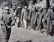 Wehrmacht