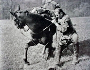 Wehrmacht