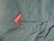 Swastika Flag