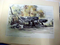 Stuka Picture Book