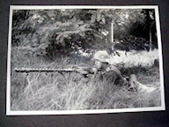 Soldier's Picture Album