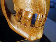 Carved Skull