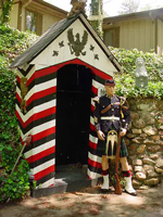 Capetown Highlanders Uniform