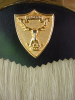 Capetown Highlanders Uniform