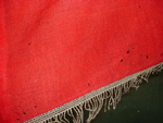 Munchbert Naila Flag
