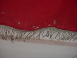 Munchbert Naila Flag