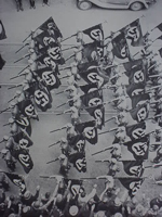 Munchbert Naila Flag