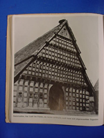 Der Anslitz Der Deutschen Frau