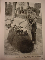 Deutschland Erwachen book