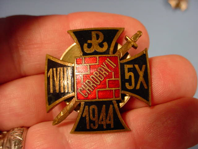 Unidentified Polish Badges