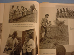 Labor Camp Book